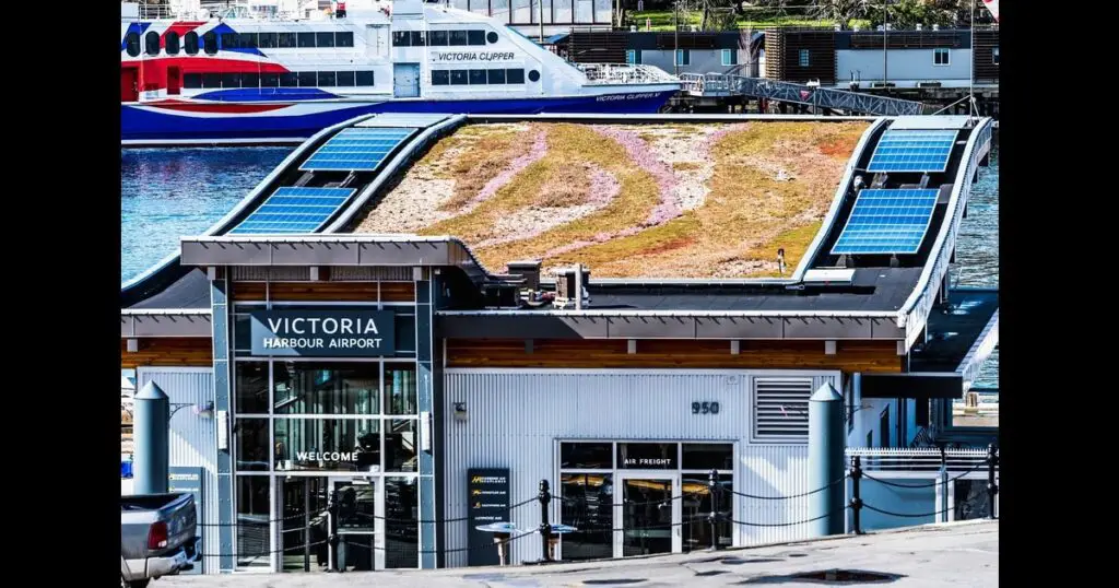 Green roof image